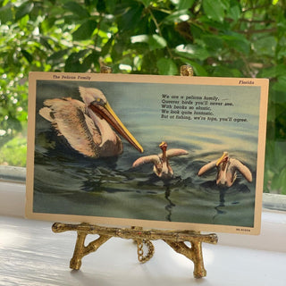 Pair of Vintage Florida Postcards