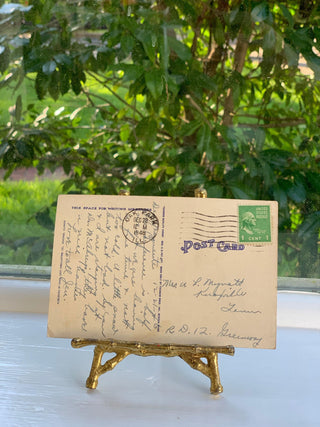 Busy Person's Postcards from Chicago & Smoky Mountains (1940s)