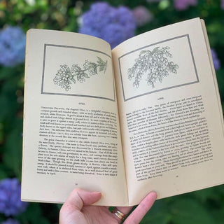 1940s Flowers that Bloom in Spring Guidebook