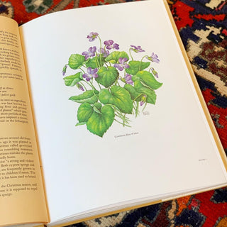 A Sampler of Wayside Herbs (First Edition, 1974)
