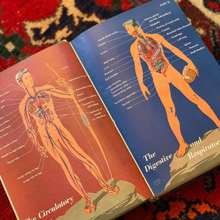 Health & Fitness Textbook (1957)