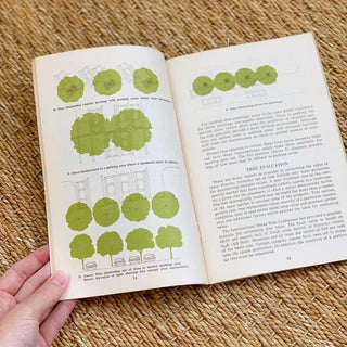 1970s Trees for Louisiana Landscapes Handbook