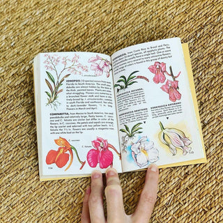 1980s Guide to Orchids