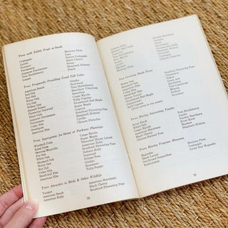 1970s Trees for Louisiana Landscapes Handbook