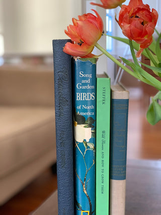 "Wild Flowers & How To Grow Them" by Steffek (1963)