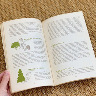1970s Trees for Louisiana Landscapes Handbook