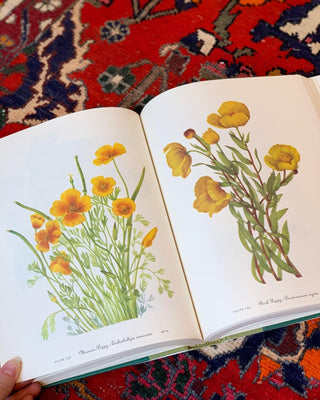 Wildflowers of America (1978)