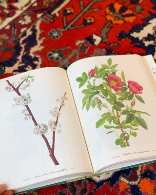 Wildflowers of America (1978)