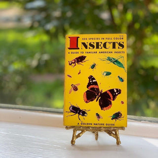 1950s Golden Nature Guide to Insects
