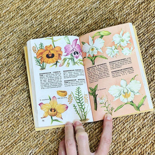 1980s Guide to Orchids