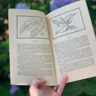 1940s Flowers that Bloom in Spring Guidebook