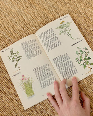 1970s Field Guide To Wild Herbs