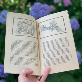 1940s Flowers that Bloom in Spring Guidebook
