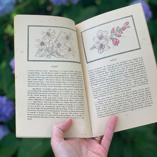 1940s Flowers that Bloom in Spring Guidebook