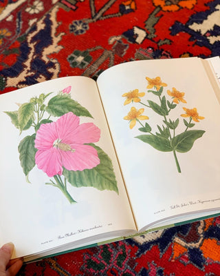 Wildflowers of America (1978)