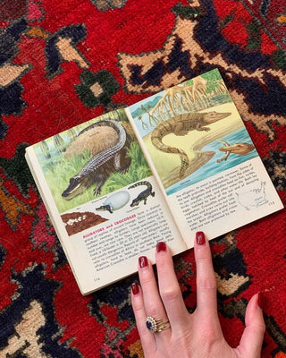 Reptiles & Amphibians Golden Guide (1956)