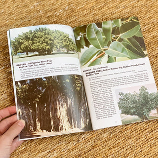 Tropical Trees Book (1960)