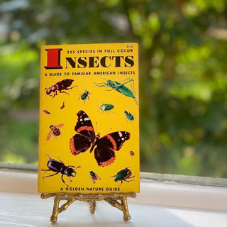 1950s Golden Nature Guide to Insects