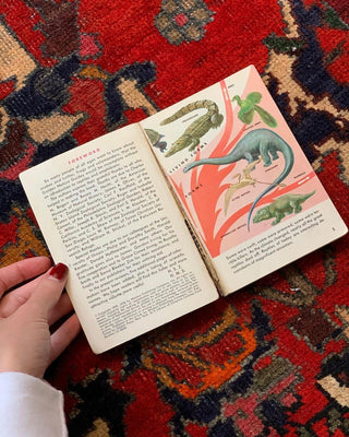 Reptiles & Amphibians Golden Guide (1956)