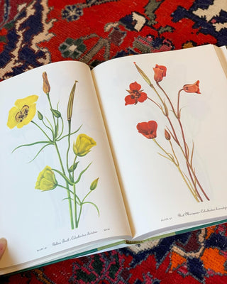 Wildflowers of America (1978)