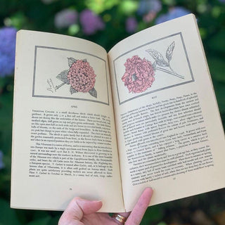 1940s Flowers that Bloom in Spring Guidebook