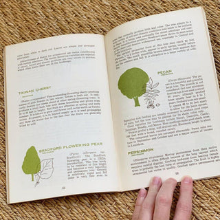 1970s Trees for Louisiana Landscapes Handbook