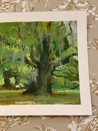 "Morning Oak" by Steve Mercer