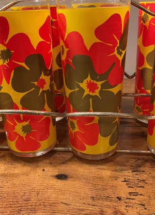 1970s Flower Power Glassware Set (8 Glasses & Caddy)