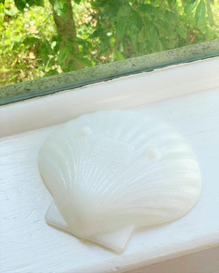 White Scallop Shells, Set of 4 (1950)