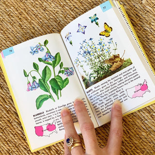 Flowers Golden Guide (1950)