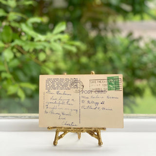 Vintage Boston Public Garden Postcard