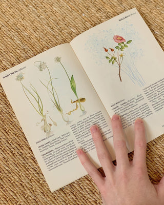 1970s Field Guide To Wild Herbs