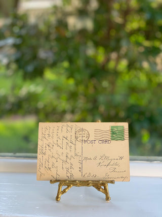 Busy Person's Postcards from Chicago & Smoky Mountains (1940s)