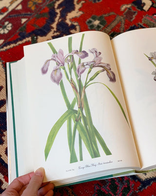 Wildflowers of America (1978)
