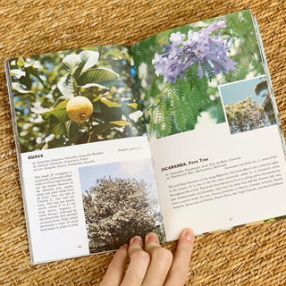 Tropical Trees Book (1960)