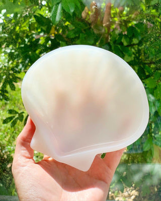 White Scallop Shells, Set of 4 (1950)