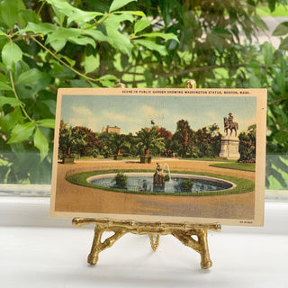Vintage Boston Public Garden Postcard