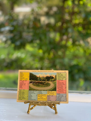 Busy Person's Postcards from Chicago & Smoky Mountains (1940s)