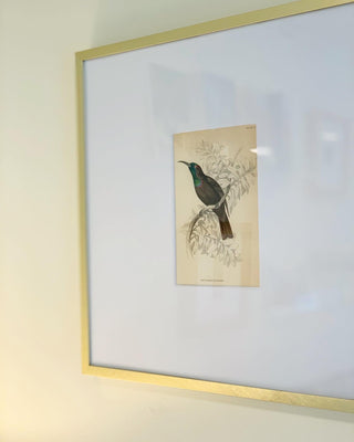 Colorful Nectarina Hummingbirds [Set of 4] (1800)