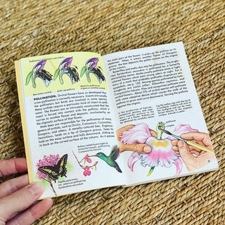 1980s Guide to Orchids
