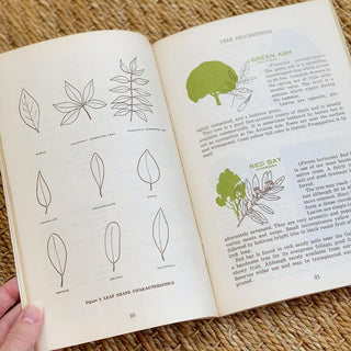 1970s Trees for Louisiana Landscapes Handbook