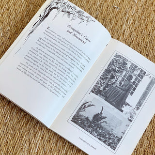 St. Martinville: Land of Evangeline in Picture Story Guide (1981)